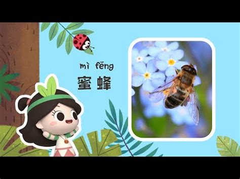 蜜蜂象徵意義|【蜜蜂的寓意】蜜蜂的寓意和象徵什麼人 